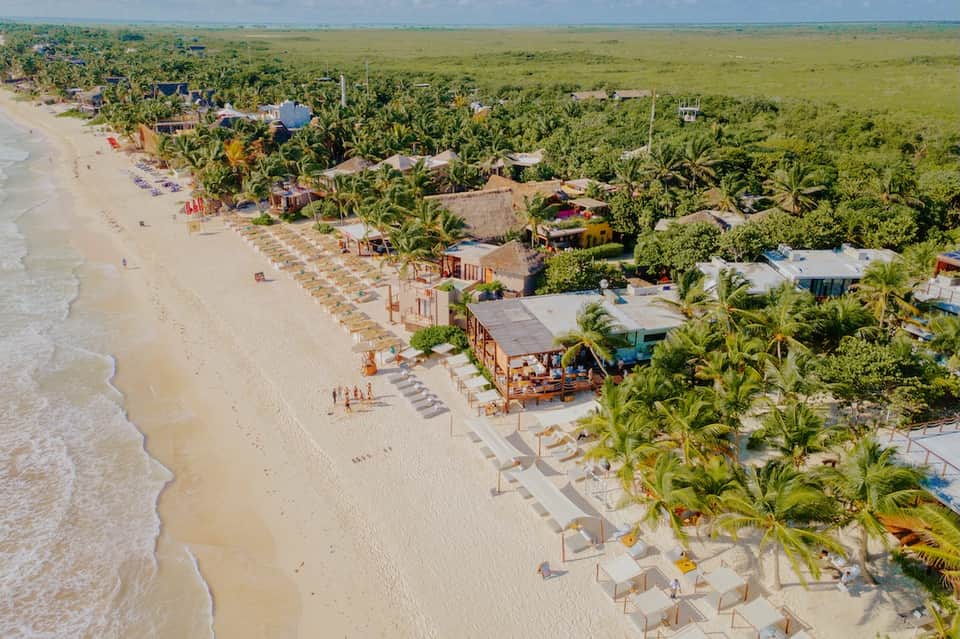 Aerial beachfront resort with sandy beach, lounge chairs, palm trees, and tropical vegetation