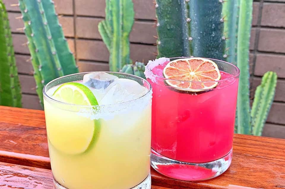Two colorful cocktails with citrus garnishes on a wooden table with green cacti in background