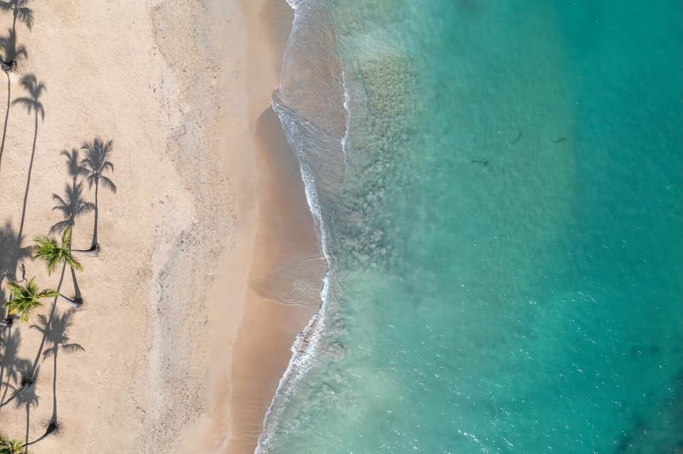 Aerial view of tropical beach with white sand, turquoise water, and palm tree shadows