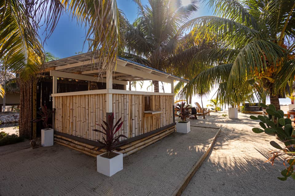 Beach cabana with wooden slat design among palm trees on sandy shore