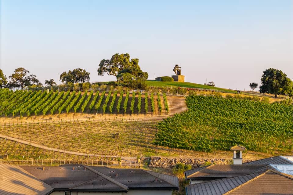 Scenic vineyard hillside with organized grapevines, scattered oak trees, and rustic building structure at golden hour