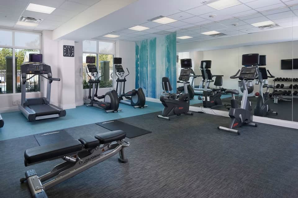 Modern fitness center with cardio equipment, weights, mirrored walls, and bright natural lighting