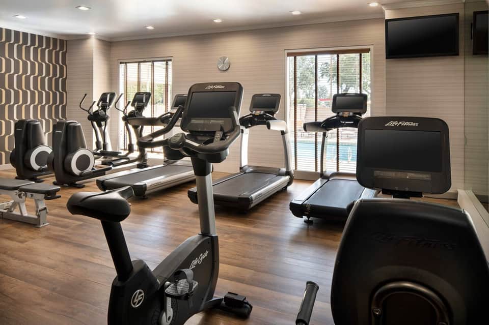 Well-equipped fitness center with treadmills, exercise bikes, dumbbells, and floor-to-ceiling windows