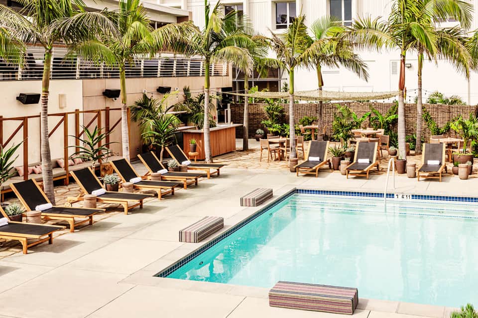Outdoor pool deck with lounge chairs, palm trees, and white building with shutters