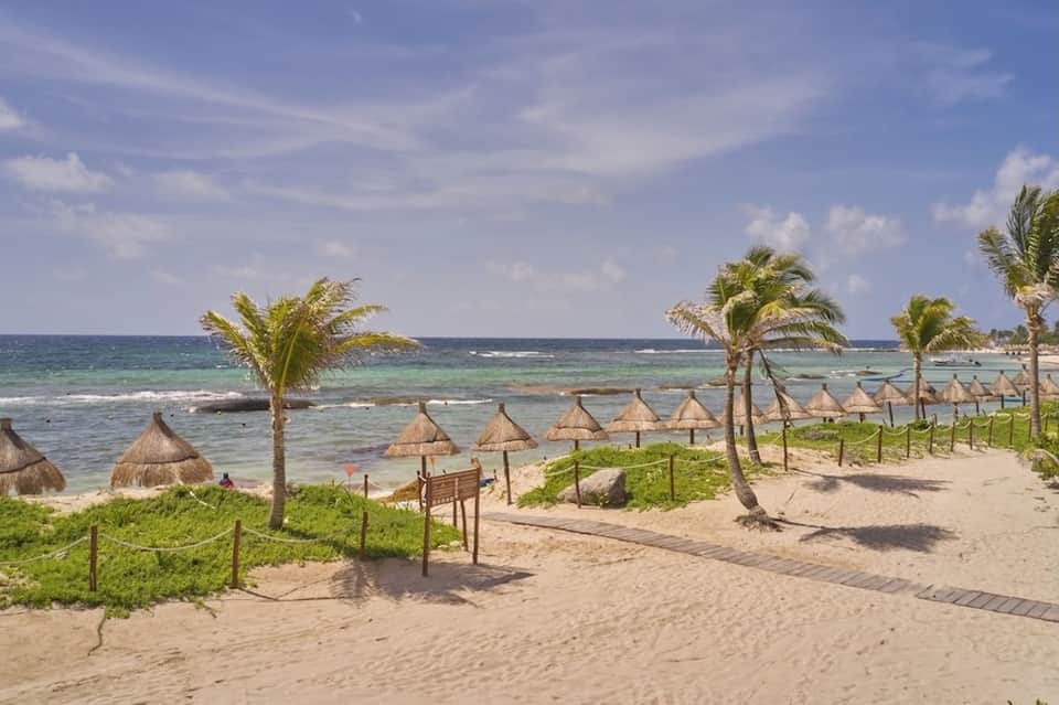 Beach resort with thatched umbrellas, palm trees, sandy shore, and turquoise ocean water