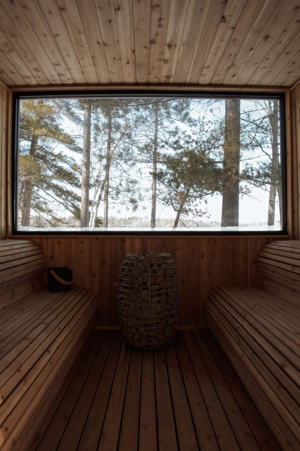 Interior of wooden sauna with large window overlooking pine forest trees
