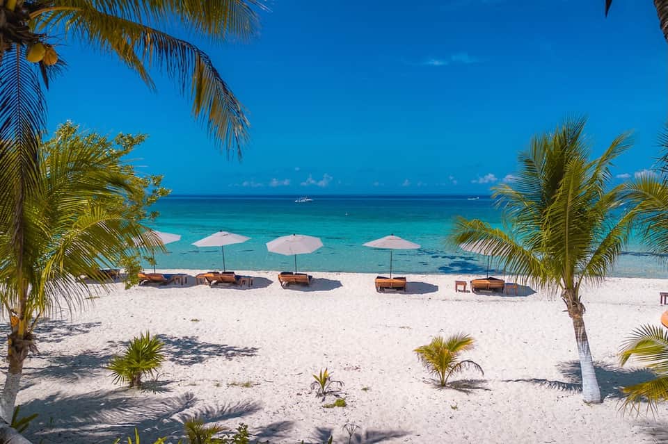 Tropical beach with white sand, pink umbrellas, lounge chairs, palm trees, and crystal-clear turquoise water