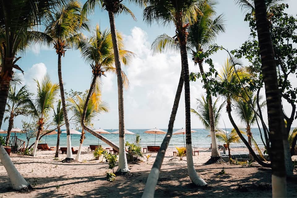 Beachfront resort area with palm trees, sandy beach, ocean view, and lounge seating