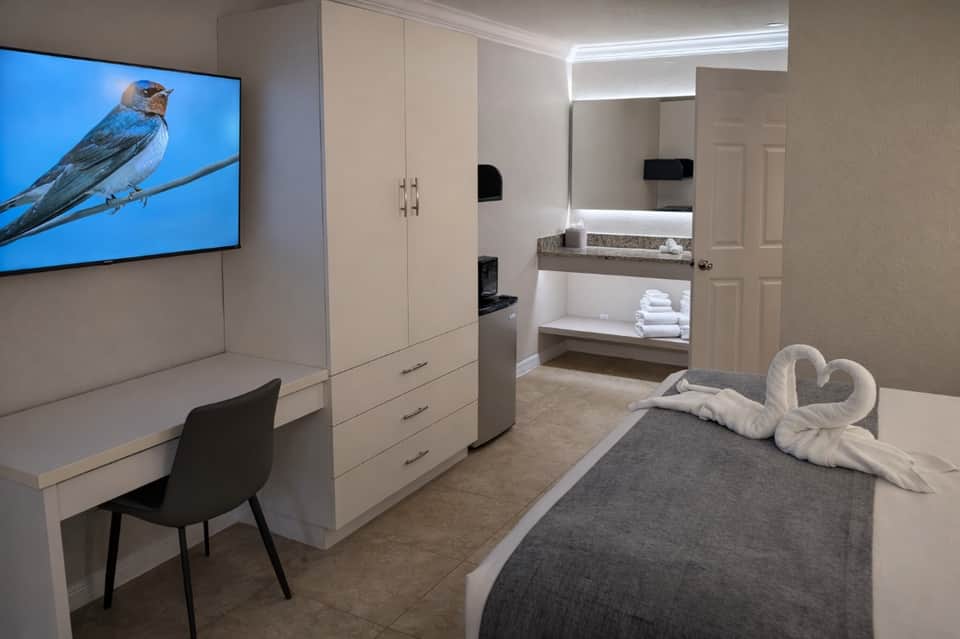 Hotel suite with bed, work desk, flat-screen TV, wardrobe, and en-suite bathroom