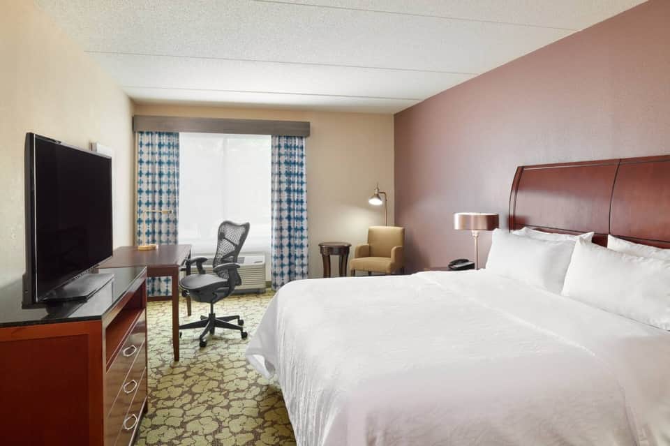 Hotel bedroom with queen bed, burgundy accent wall, flat-screen TV, work desk, and patterned curtains