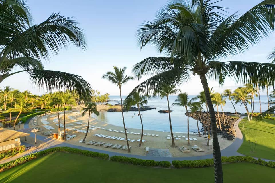 Tropical beach resort with palm trees, lounge chairs, and calm bay waters surrounded by lush green grounds