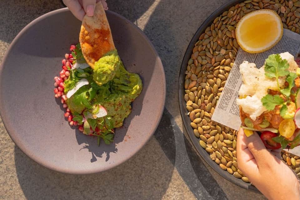 Colorful plated appetizers with nuts and citrus served poolside in sunlight