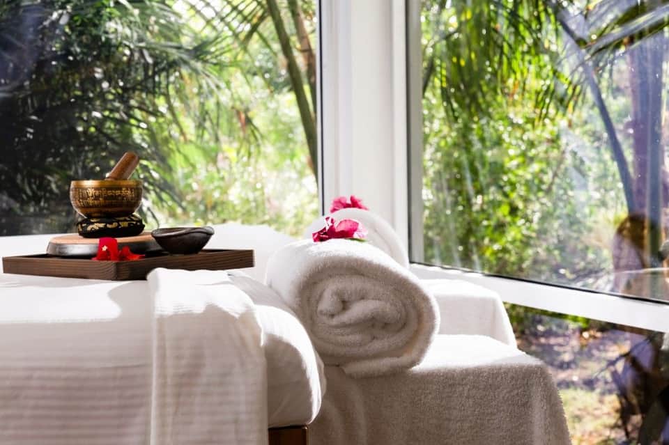 Spa setting with rolled towels, singing bowl, flowers by window with palm tree views