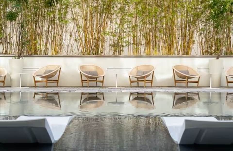 Minimalist spa lounge with reflection pool, modern wooden chairs, and tall bamboo backdrop