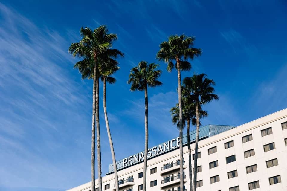 Beachfront hotel exterior with tall palm trees and Renaissance signage against clear blue sky