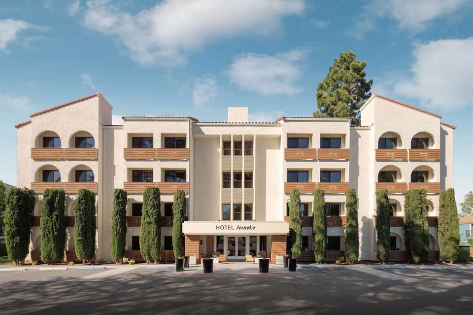 Hotel Avante exterior with cream facade, wooden balconies, arched windows, and cypress trees lining the entrance