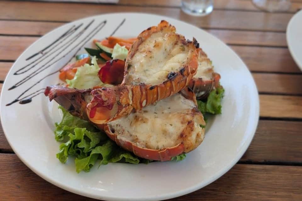 Grilled lobster tail served on a white plate with fresh greens and garnish
