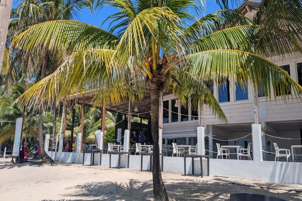 Beachfront resort with white building, palm trees, and seaside dining area with ocean views