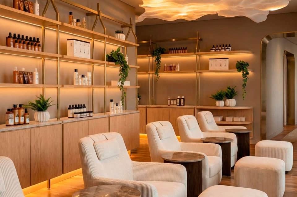 Luxury spa reception area with illuminated wooden shelving displaying bottles and live plants