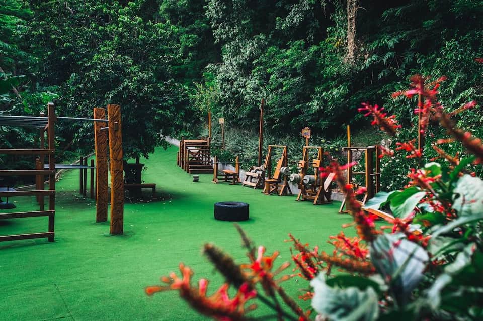 Outdoor jungle setting with green lawn, wooden play structures, and red flowering plants