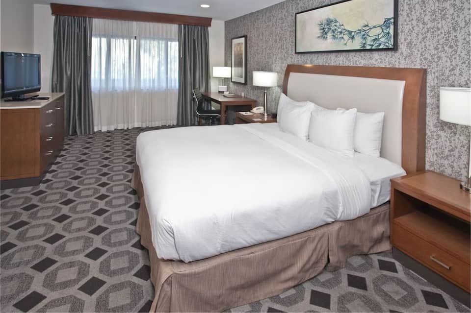 Hotel bedroom with queen bed, wood headboard, geometric patterned carpet, desk area, and floor-to-ceiling curtained windows