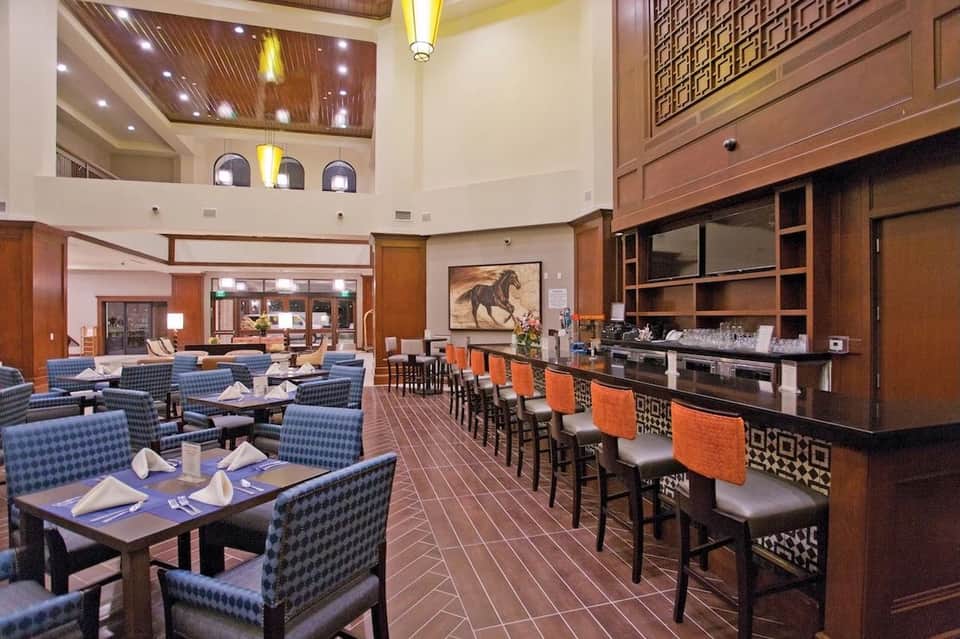 Contemporary restaurant and bar with blue patterned chairs, dark wood accents, and open kitchen counter
