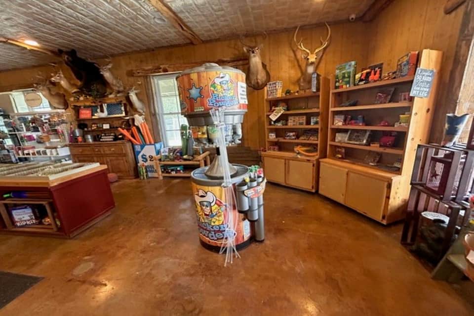 Rustic gift shop interior with wooden shelves, taxidermy mounts, and colorful merchandise displays