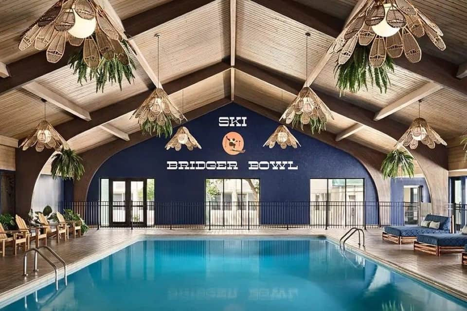 Modern indoor pool under peaked wooden ceiling with hanging botanical fixtures and navy accent wall