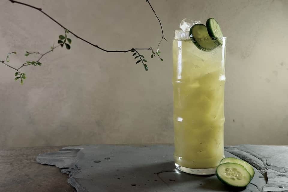 Cucumber-infused cocktail with ice in a tall glass on a concrete surface with botanical branches