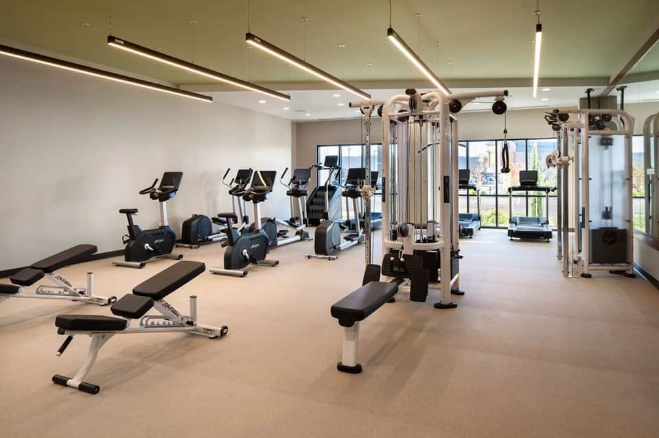 Modern fitness center with cardio equipment, weight machines, benches, and large windows overlooking the city