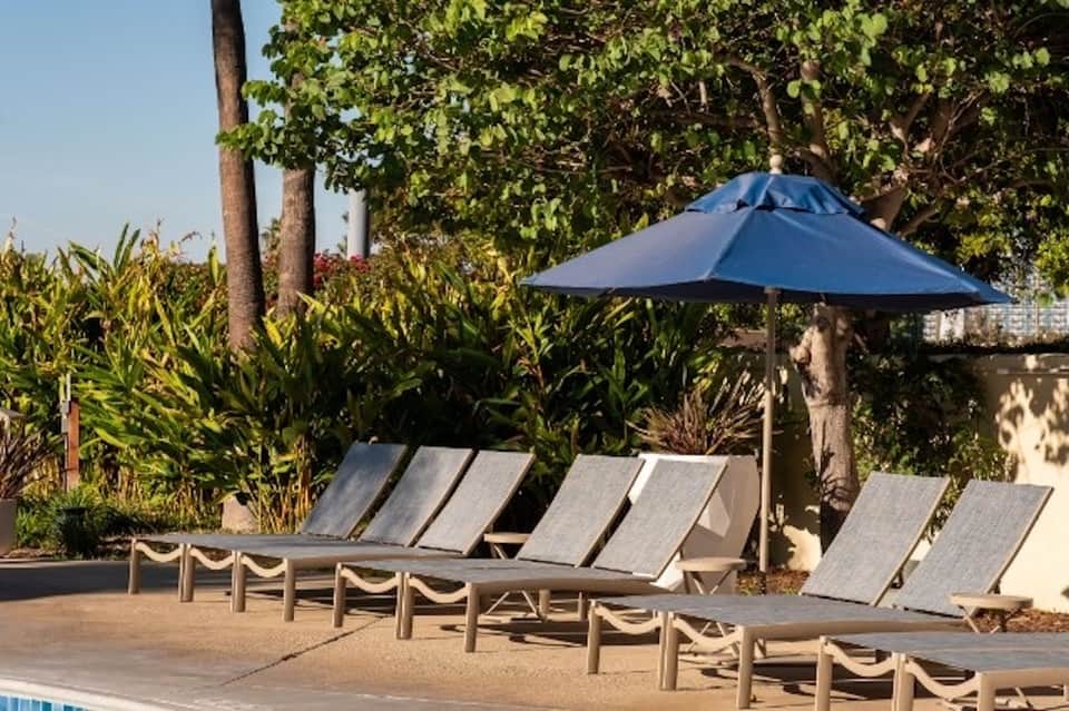 Pool lounge area with gray recliners, blue umbrella, tropical vegetation, and palm trees