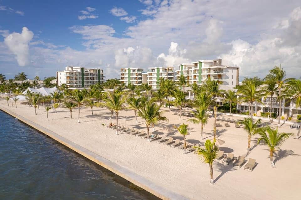 Beachfront resort aerial view with white buildings, palm trees, and organized lounge chair arrangement along sandy shore
