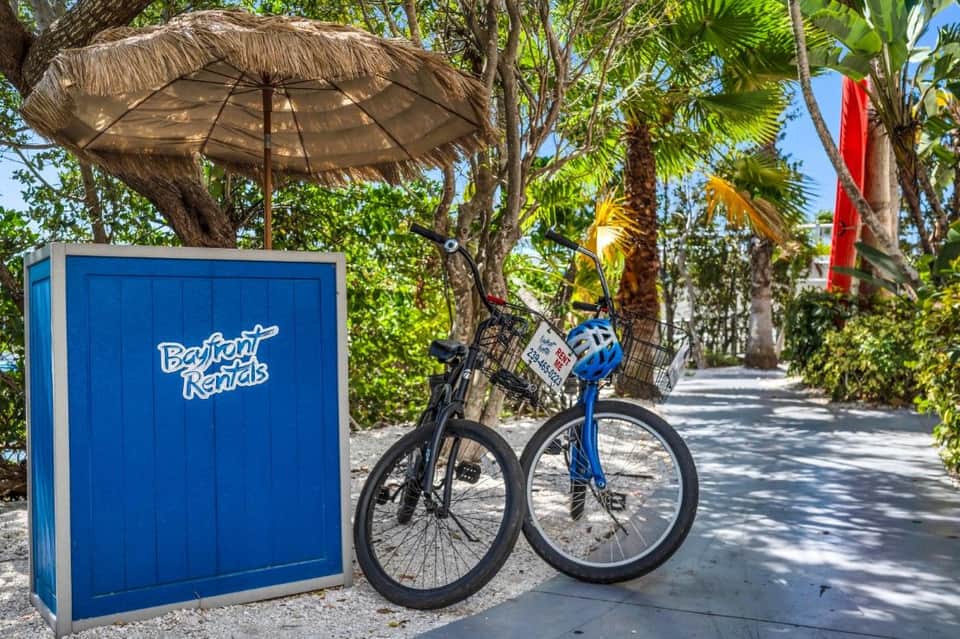 Blue Barefoot Rentals bike kiosk on shaded tropical pathway with palm trees