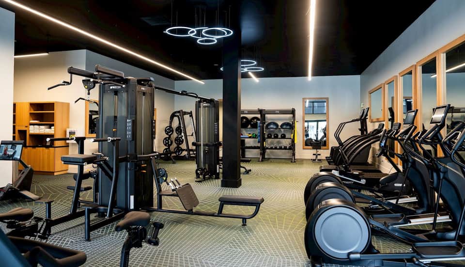 Modern fitness center with cardio equipment, weight machines, and neon ring light fixtures on black ceiling