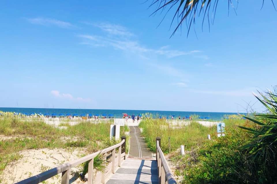 Wooden boardwalk pathway through beach dunes leading to ocean with visitors on sandy shore