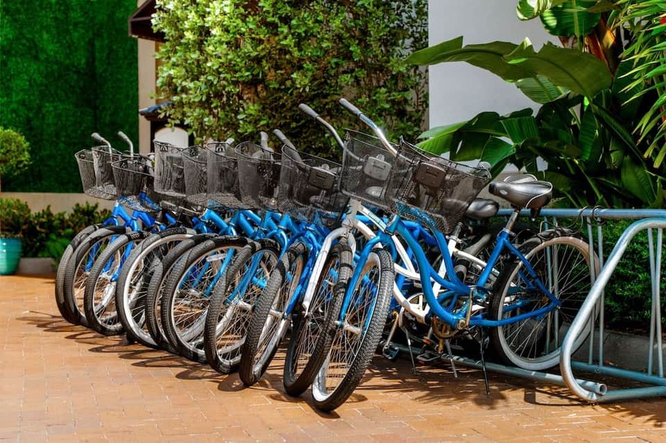 Row of blue rental bicycles with baskets parked in sunny courtyard with tropical plants and green wall