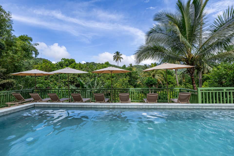 Resort infinity pool overlooking lush tropical forest with palm trees and umbrellas