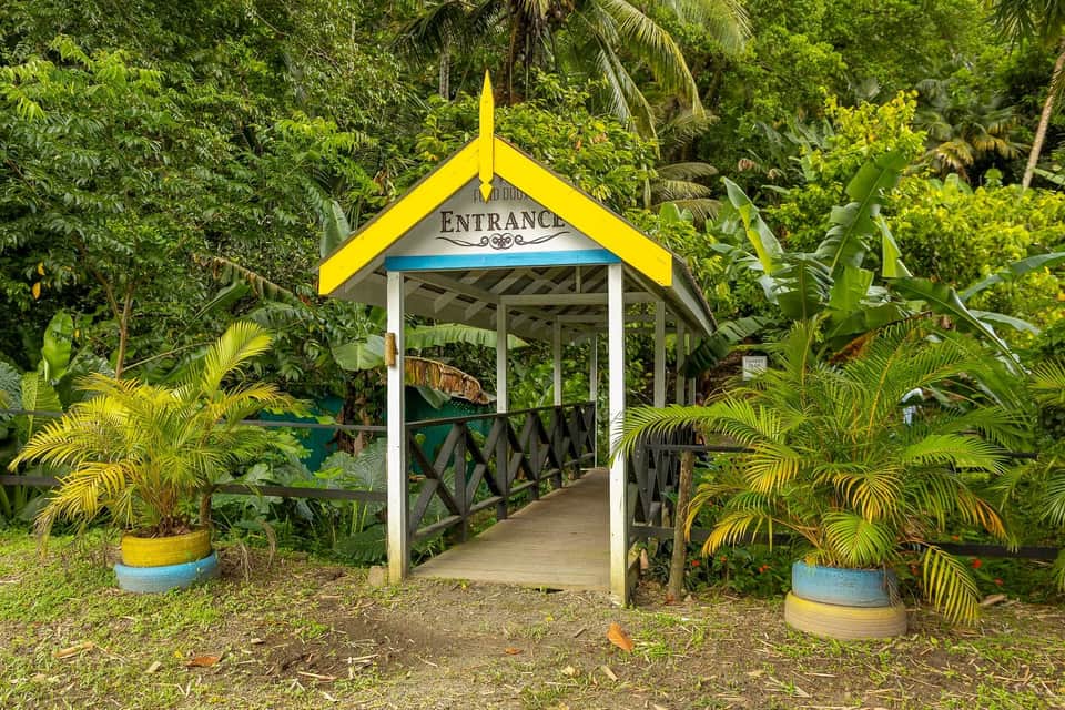 Yellow peaked entrance pavilion with decorative railings, potted plants, and dense tropical forest backdrop