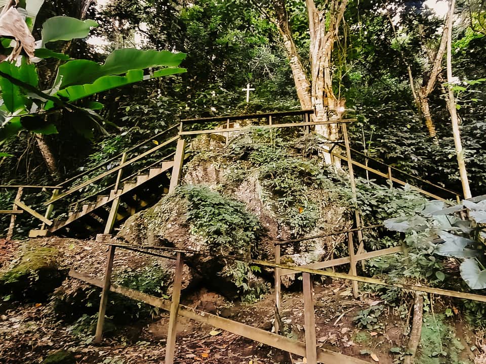 Wooden boardwalk pathway winding through dense tropical forest with railings on both sides