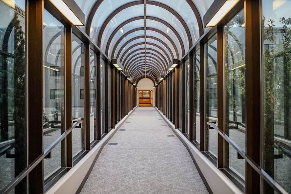Long corridor with arched glass ceiling, wooden railings, and climbing ivy plants on sides