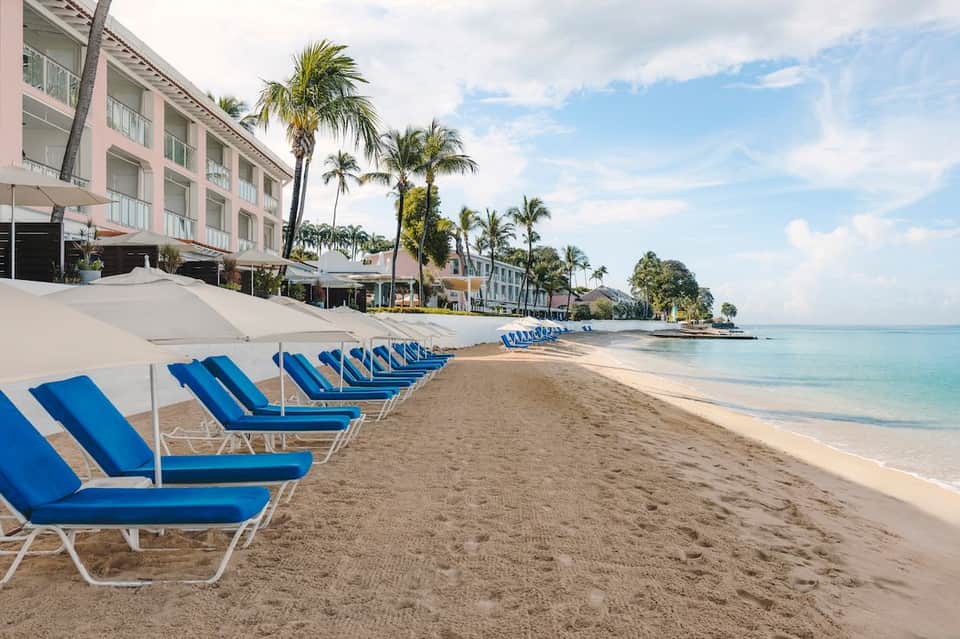 Beach resort with rows of blue lounge chairs, white umbrellas, palm trees, and calm ocean