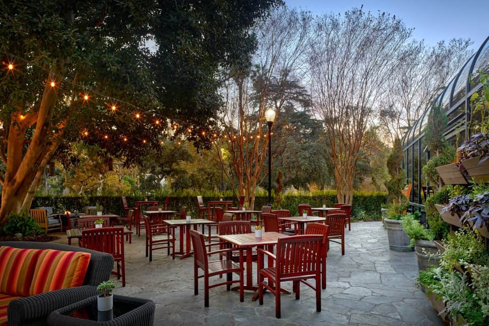Outdoor patio with dining tables, red chairs, string lights, and tall trees at dusk