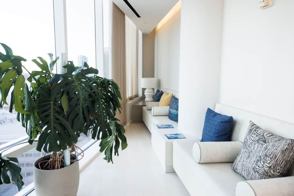 Contemporary lounge area with floor-to-ceiling windows, potted plant, and cushioned window seating