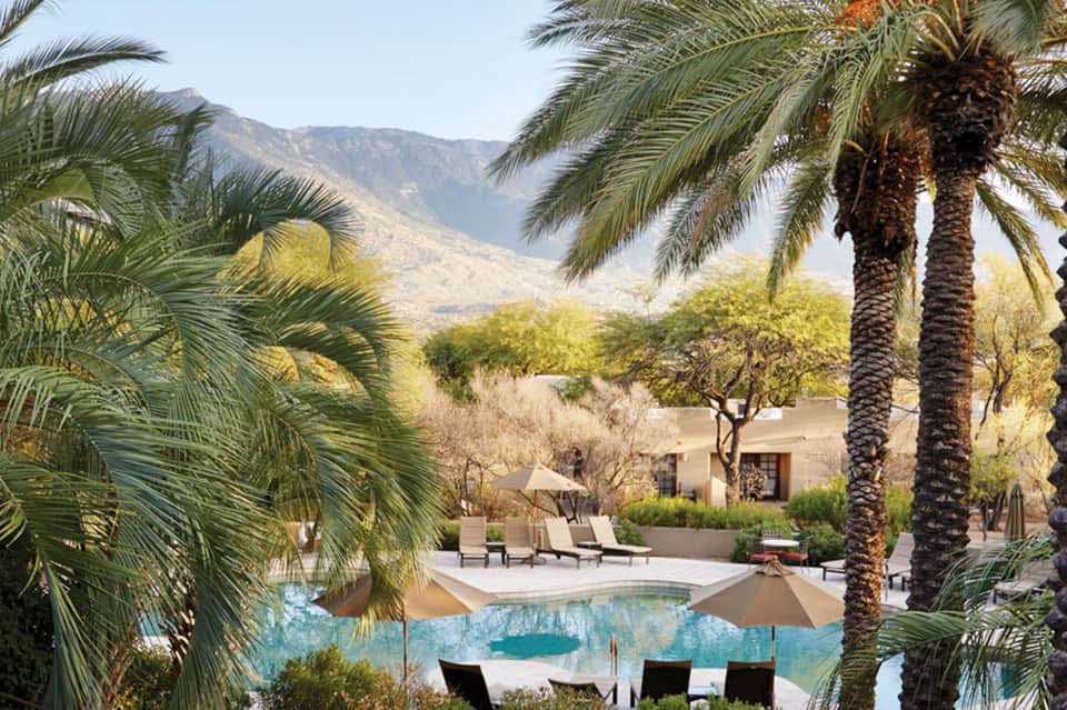 Resort pool with palm trees and mountain backdrop in desert landscape