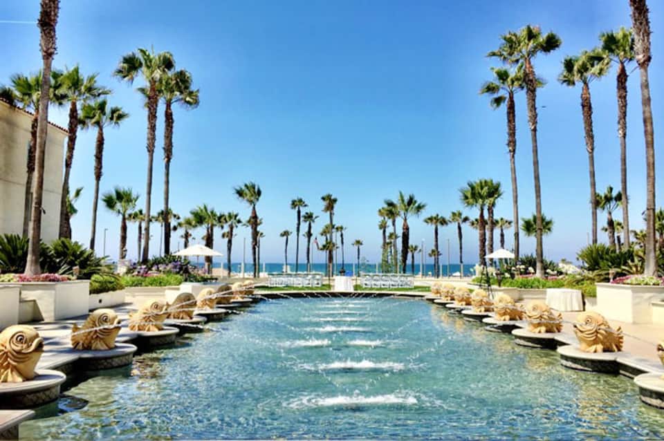 Luxury resort pool with palm trees lining both sides and ocean view in background