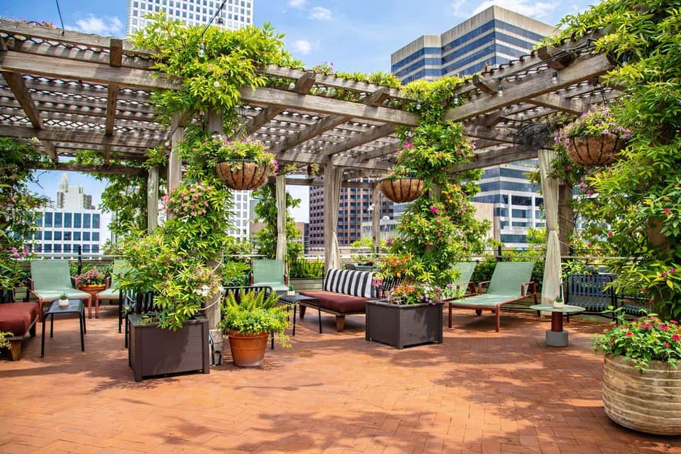 Rooftop garden space with wooden pergola, ivy plants, hanging planters, seating, and city skyline views