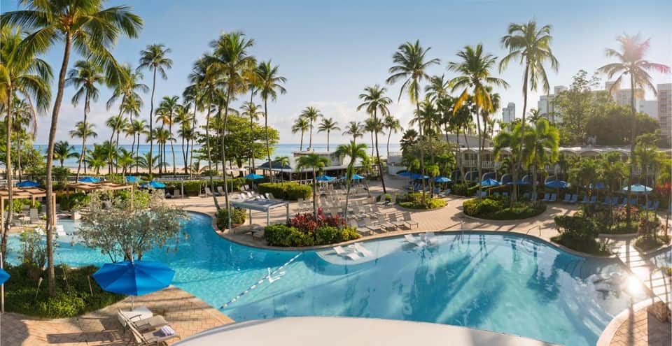 Resort pool surrounded by palm trees, lounge chairs, umbrellas, and beachfront with city skyline