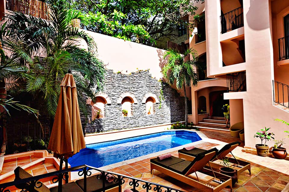 Luxury courtyard with rectangular pool, stone accent wall, palm trees, and terracotta lounge chairs