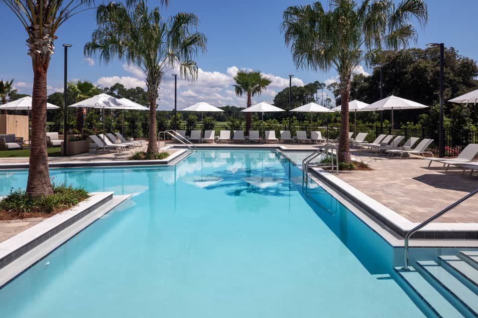 Rectangular lap pool with palm trees, white umbrellas, and multiple lounge chairs in sunny setting