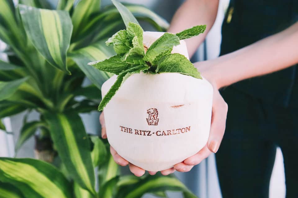 Person holding white ceramic pot with mint plant and The Ritz-Carlton branding